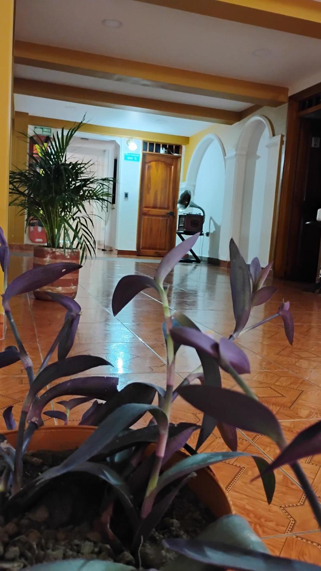 Hotel Shaddai 필란디아 외부 사진